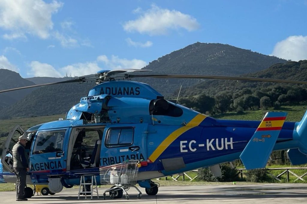 interpretación de enlace para reuniones profesionales Sevilla